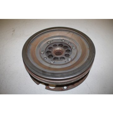 Vliegwiel 3.0 TFSI/3.0 TDI Audi A4, S4, A5, S5, A6, A7, Q5 Bj 08-18