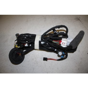 Kabelboom portier LV Audi E-Tron Bj 19-heden