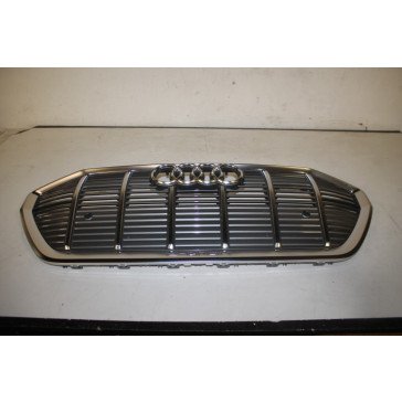 Grille platinagrijs Audi E-tron Bj 19-heden