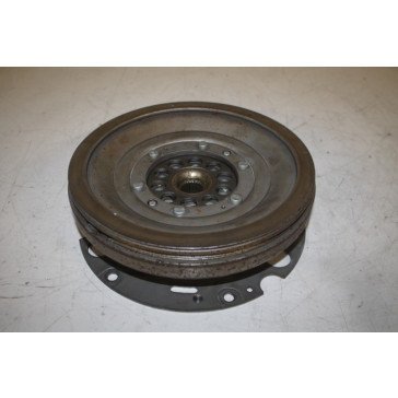 Vliegwiel 3.0 TFSI/3.0 TDI Audi A4, S4, A5, S5, Q5 Bj 08-12