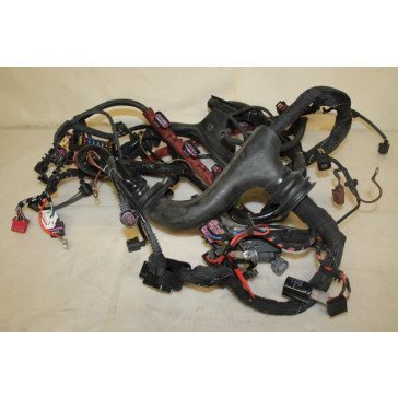Kabelset motor 2.4 V6 benzine Audi A6 Bj 05-08