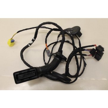 Kabelboom portier RV Audi A4, S4, RS4 Bj 08-heden