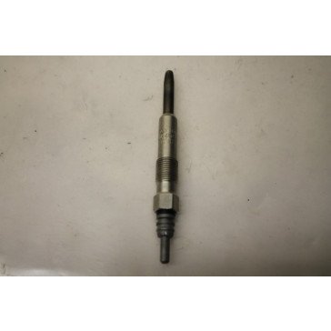 Bosch gloeibougie 0250202022