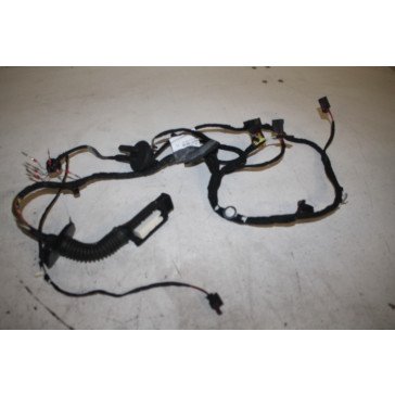 Kabelboom portier LV Audi A6, S6, RS6 Bj 11-heden