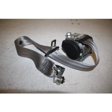 3-punts rolgordel LA+RA platina-licht Audi A6, S6, RS6 Bj 05-11