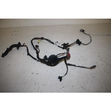 Kabelboom portier LV Audi A6, S6, RS6, Allroad Bj 11-14