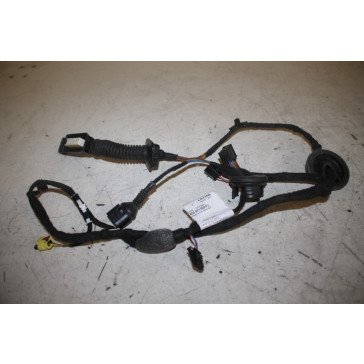 Kabelboom portier LV Audi A6, S6, RS6 Bj 11-18