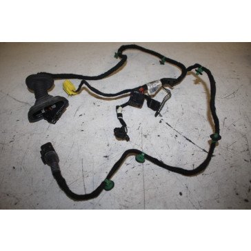 Kabelboom portier RV Audi A4, S4, RS4 Bj 05-08