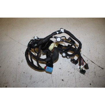 Kabelboom portier RV Audi A5, S5, RS5 Sportback Bj 17-heden