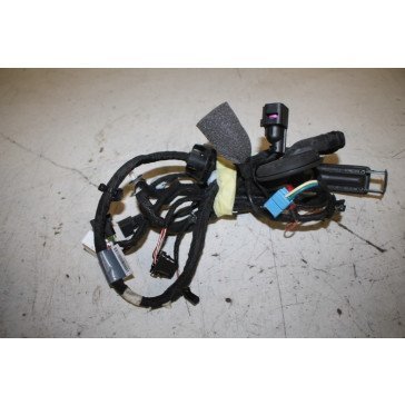 Kabelboom portier LV Audi A5, S5, RS5 Sportback Bj 17-heden