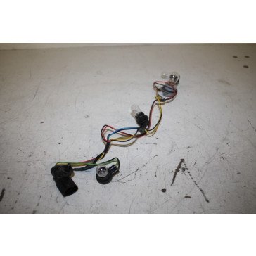 Lamphouder achterlicht Audi Q5 Bj 09-17
