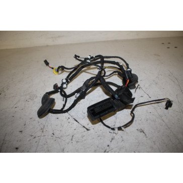 Kabelboom portier LV Audi Q5, SQ5 Bj 13-17