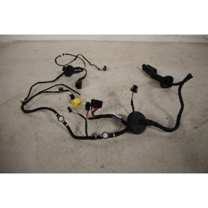 Kabelboom portier LV Audi A5, S5 Sportback Bj 08-16