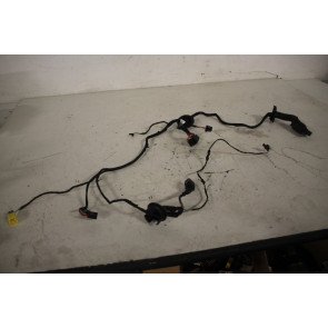 Kabelboom portier LV Audi A5, S5 Sportback Bj 08-16