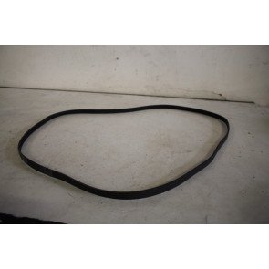 Geribde riem 3.0 V6 TDI Audi A4, A5, A6, A7, A8, Q5, Q7, Q8 Bj 13-heden