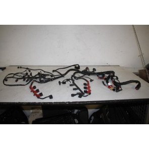 Kabelset motor 3.0 V6 benzine Audi A4 Bj 01-06