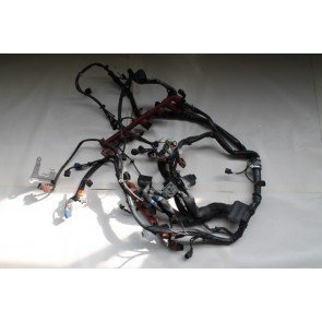 Kabelset motor 5.2 V10 benzine Audi S8 Bj 08-10