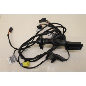 Kabelboom portier RV Audi A5, S5, RS5 Coupe Bj 08-heden