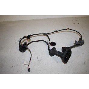 Kabelboom portier achter Audi A6, S6, RS6 Bj 07-11