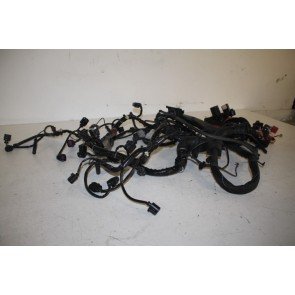 Kabelset motor 3.0 V6 TDI Audi A6, Allroad Bj 05-11