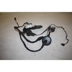 Kabelboom portier RV Audi A6, S6, RS6 Bj 11-heden