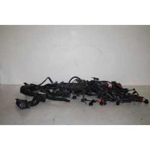 Kabelset motor 4.0 V8 TFSI Audi A8, S8 Bj 10-13