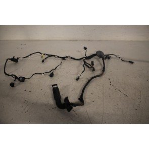 Kabelboom portier LV Audi A7, S7, RS7 Bj 11-14