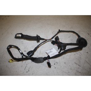 Kabelboom portier LV Audi A6, S6, RS6 Bj 11-18