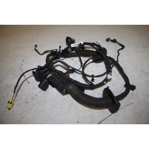 Kabelboom portier LV Audi A8, S8 Bj 10-17