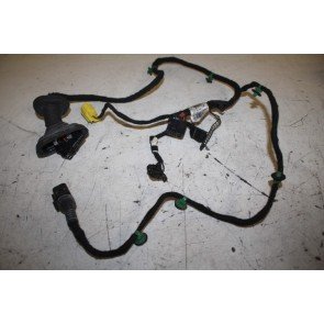 Kabelboom portier RV Audi A4, S4, RS4 Bj 05-08