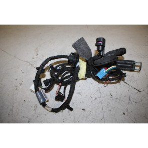 Kabelboom portier LV Audi A5, S5, RS5 Sportback Bj 17-heden