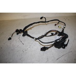 Kabelboom portier RV Audi A6, S6, RS6 Bj 11-14