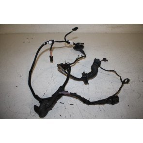 Kabelboom portier achter Audi A6, S6, RS6 Bj 11-18
