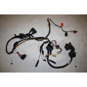 Kabelboom portier achter Audi A6, S6, RS6 Bj 08-11