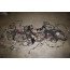 Kabelset motor 2.0 TDI Audi Q5 Bj 09-12