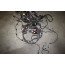 Kabelset motor 2.0 TDI Audi Q5 Bj 09-12