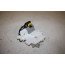 Portierslot met portierslotschakelaar RV Audi A6, S6, RS6 Bj 08-11