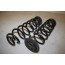 Set schroefveren achter Audi A3, Q2 Bj 13-heden