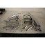 Set interieurlijsten alu-geborsteld Audi A7, S7, RS7 Bj 11-18