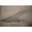 D-stijlbekleding LB sterzilver Audi A6, S6, RS6 sedan Bj 08-11