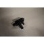 Verschildruksensor 3.0 V6 TDI Audi A6, A7, A8, Q5, SQ5 Bj 13-17