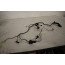 Kabelboom portier LV Audi A5, S5 Sportback Bj 08-16