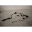 Kabelboom portier LA  Audi A5, S5 Sportback Bj 12-17