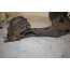 Draagarm RA Audi A3, S3, TT Bj 97-06