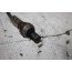 Lambdasonde 3.0/3.2 V6 benz. Audi A4, S4, A5, S5, Q5 Bj 08-16