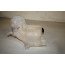 Expansiereservoir Audi A6 Bj 05-11