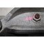 Rubbermetaalsteun Audi A4, A5, A6, A7 Bj 08-16