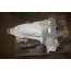 8-traps Automaat QCT 2.0 TFSI benz. Audi A4, A5 Bj 12-17