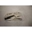 Afschermplaat 2.0 TFSI benz. Audi A4, A5, A6, A7, Q5 Bj 16-heden