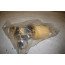 Brandstofopvoereenheid 2.5 V6 TDI Audi A4 Bj 01-08